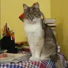 Отзыв от Кристина Анохина